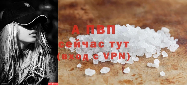 крисы Алексин
